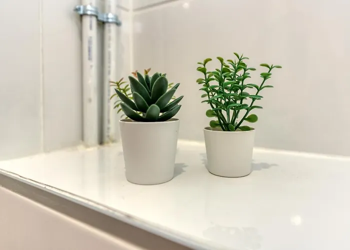 Le Prestige•gare•cours Jean Jaures•confort•netflix * Grenoble